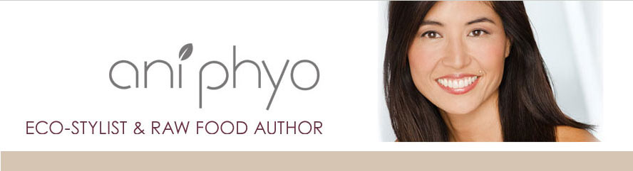 ani phyo header