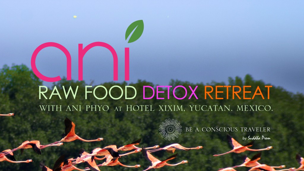 ANI-RAW-FOOD-CARD_v2