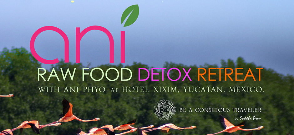 ANI-RAW-FOOD-CARD_v2_slider