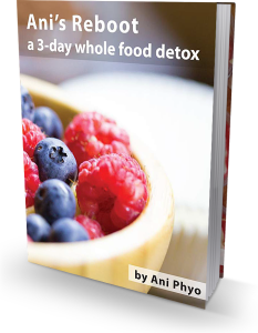 anis-reboot-cover-art